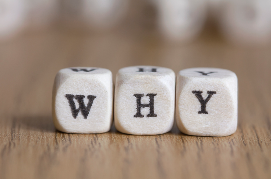 wooden blocks printed with letters forming the word 'why' in a horizontal line